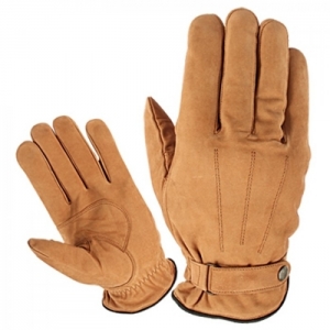 Dressing Gloves